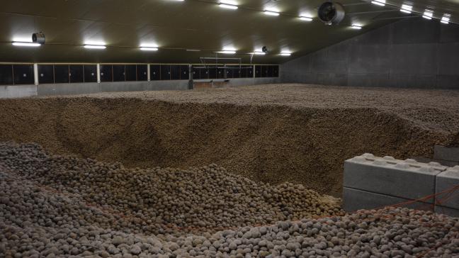 Pour assurer un stockage en bonne et due forme, il convient de suivre quelques recommandations lors de l’application des anti-germinatifs.