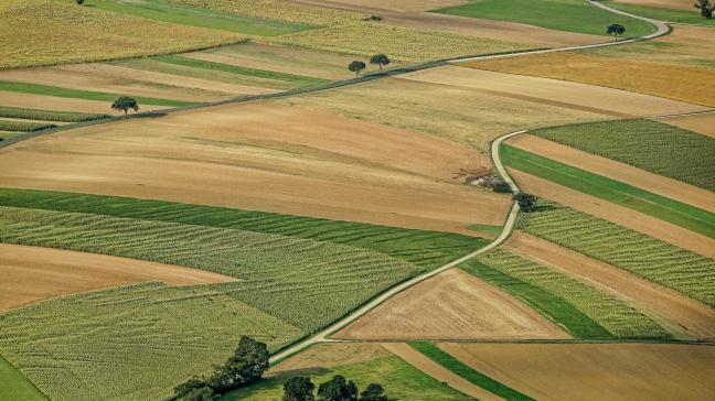 En 2022, ce sont plus de 4,6 milliards € de mesures d’urgence qui ont été financées par des aides d’État plutôt qu’à travers une aide coordonnée à l’échelle européenne, déplore le think tank Farm Europe.