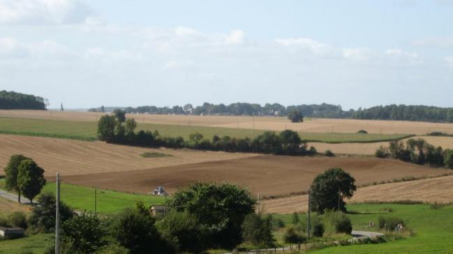 Les prairies permanentes qui ne sont effectivement jamais labourées sont des réservoirs de carbone organiques très importants qu’il faut absolument préserver. Une prairie convertie en terre de culture perd  en moyenne une tonne de carbone par ha et par an pendant 20 années puis de moins en moins pendant 20 ans encore.