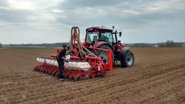 Contrairement à leurs homologues belges, les planteurs français pourront très certainement faire usage de semences enrobées aux néonicotinoïdes cette année.
