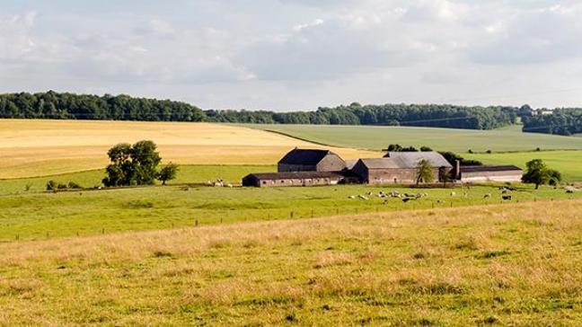 Pour rappel, l’Apaq-w utilise  a minima  la totalité des cotisations perçues au niveau de chaque secteur pour la mise en place d’actions  et de campagnes de promotion variées en faveur du secteur concerné et dont les cotisants pourront bénéficier.