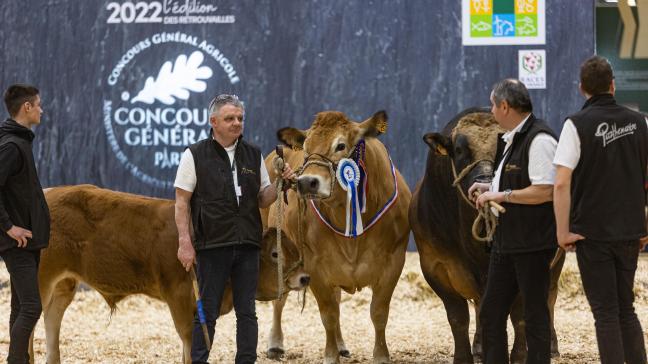 Le concours général agricole accueillera près de 2.400 animaux,  dignes représentants de leurs espèces et races.