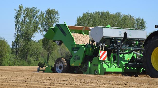 Les producteurs de pommes de terre de conservation s’inquiètent de la sécurité de la disponibilité des plants et du risque de hausse des prix.