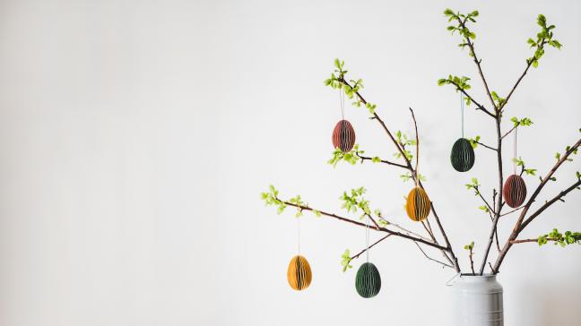 En ce début de printemps, la branche  de Pâques apportera de la couleur  dans votre intérieur.