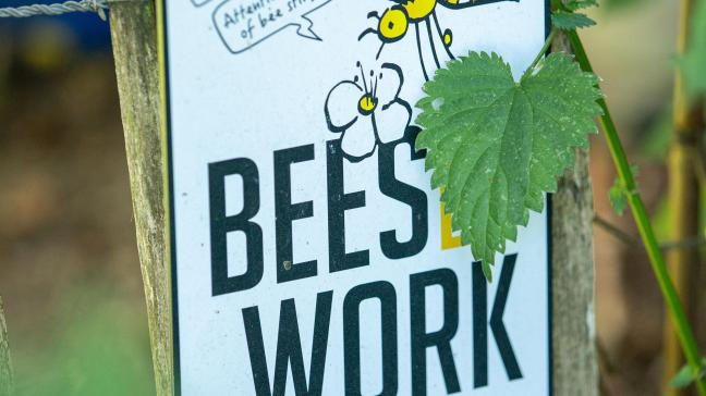 « Sauvons les abeilles et les agriculteurs », une initiative qui a réuni le soutien  de plus d’un million d’Européens.