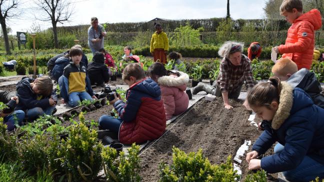 Chez Didier et Valérie, les enfants de l’école communale de Bornival ont leur propre parcelle où ils plantent ce qu’ils ont semé et finissent par récolter le fruit de leur travail.