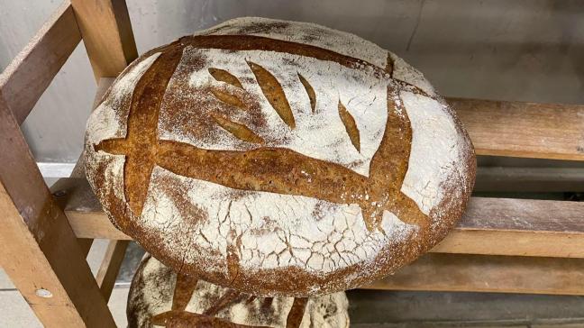 Le projet BreadStarter vise à développer des formules de levains boulangers innovants porteurs de propriétés probiotiques certifiées.