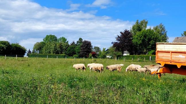 La validité du congé reçu dépend du régime locatif qui est d’application.