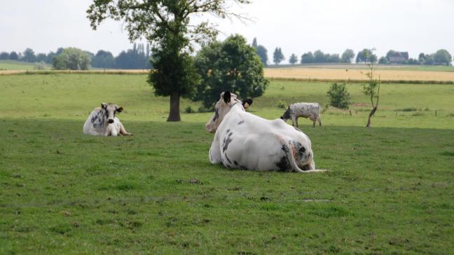 La résolution du parlement déplore le manque d’évaluation réalisée en amont afin de mesurer les impacts sur la production alimentaire, la compétitivité de l’agriculture de l’UE, les agriculteurs, les dépendances vis-à-vis des importations, les prix des denrées alimentaires ou encore la propagation d’organismes nuisibles.