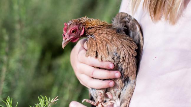 L’agriculture sociale peut bénéficier tant aux personnes accueillies qu’aux agriculteurs.