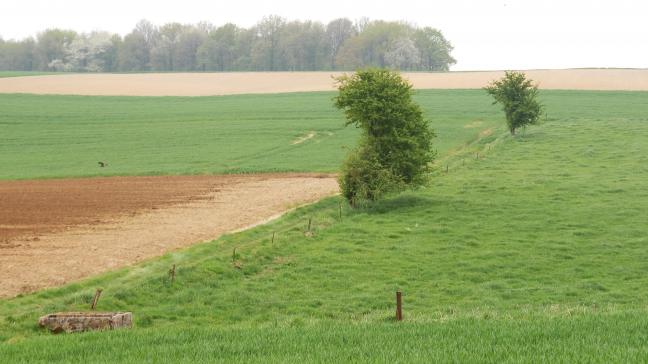 Après acceptation par l’UE, les modalités de la gestion de l’érosion se baseront sur le système R10/R15 déjà en vigueur lors de la précédente programmation PAC.