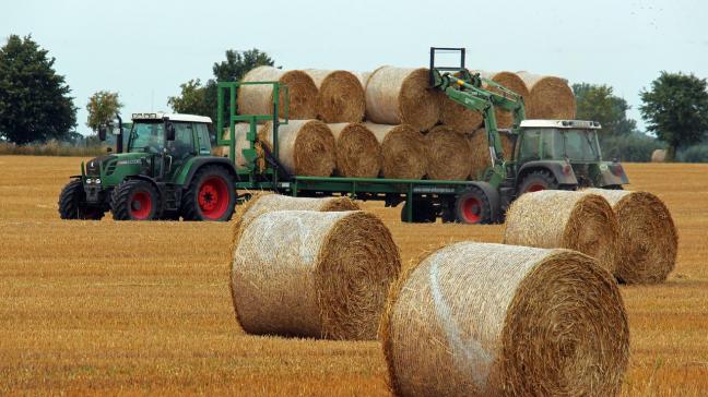 La reprise des exportations de l’UE pour certains produits agricoles a été soutenue par  des prix plus compétitifs des matières premières.