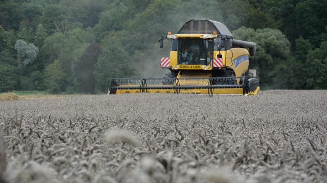 Les bonnes conditions climatiques de l’automne 2022 et des prix élevés des céréales  en Belgique ont conduit à un accroissement des surfaces dédiées aux céréales d’hiver.