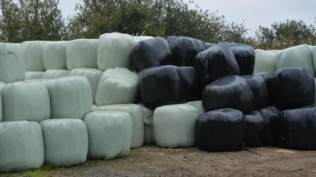 Les collectes sont organisées à Binche, Manage, Morlanwez, Ecaussines, Estinnes, Le Rœulx et Seneffe.