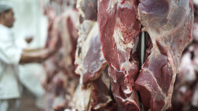 Les cotations ont été influencées par les variations saisonnières et les facteurs économiques tels que l'inflation. Des différences sont aussi observées entre les catégories d’animaux.