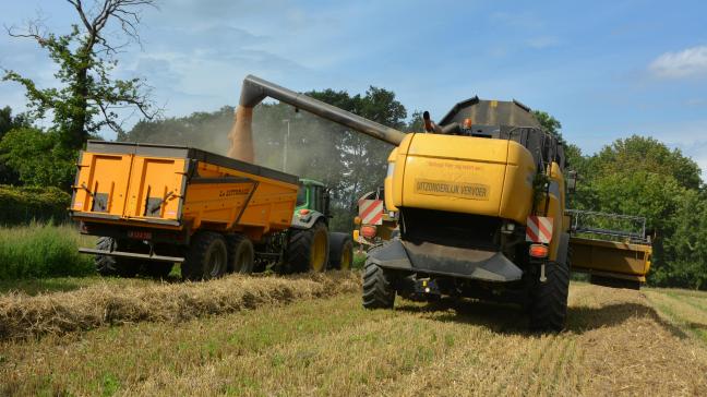 Pour les céréaliers, c’est la douche froide... Superficie en hausse et prix en chute libre  entraînent un recul de plus de 22 % de la valeur de la production.