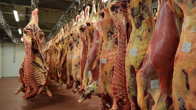 Le nombre de taureaux abattus a diminué de 2 % durant la période de janvier à octobre 2023, par rapport à la même période en 2022.