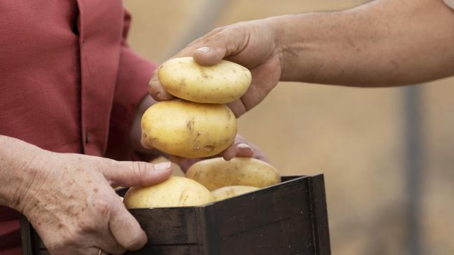 «L’appel des agriculteurs est celui de toute la chaîne agroalimentaire, de la fourche à la fourchette», affirment les neuf fédérations.