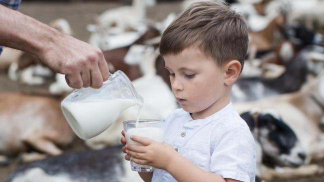 En France, malgré l’inflation, la consommation de produits laitiers a résisté en 2023.