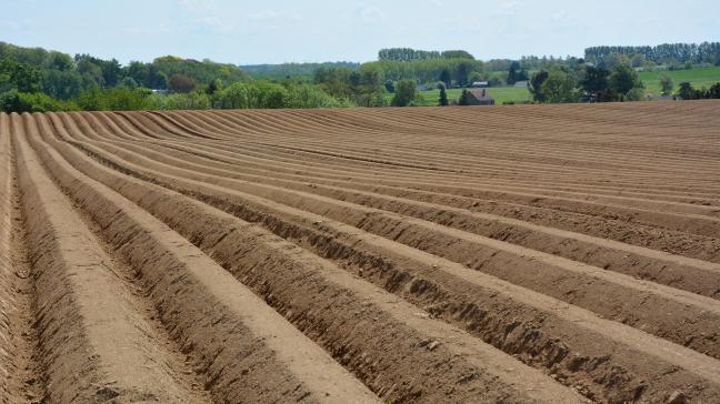 Les besoins de la culture sont liés aux objectifs de rendement. Ceux-ci sont en corrélation avec la variété,  les conditions climatiques, la structure du sol et les critères qualitatifs attendus.