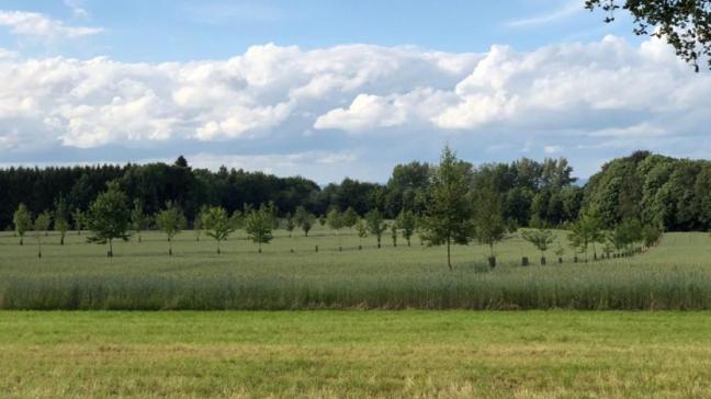 Mieux connaître les pratiques adoptées par les agriculteurs permettra de mieux orienter les actions visant à les soutenir.
