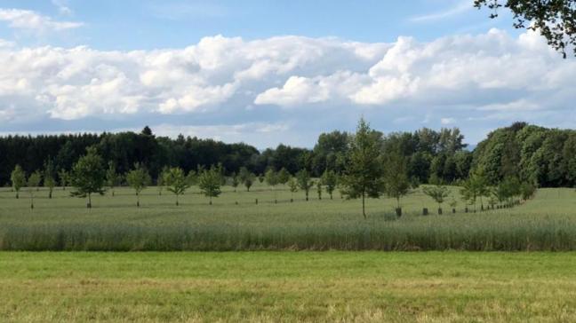 Mieux connaître les pratiques adoptées par les agriculteurs permettra  de mieux orienter les actions visant à les soutenir.