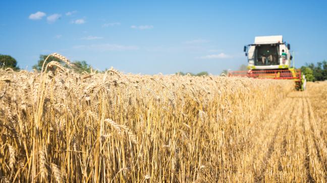 Malgré les demandes du Copa, et de la commission parlementaire de l’Agriculture,  les eurodéputés au commerce n’ont pas souhaité élargir le champ d’application du dispositif de « frein d’urgence » aux céréales, aux oléagineux et au miel.