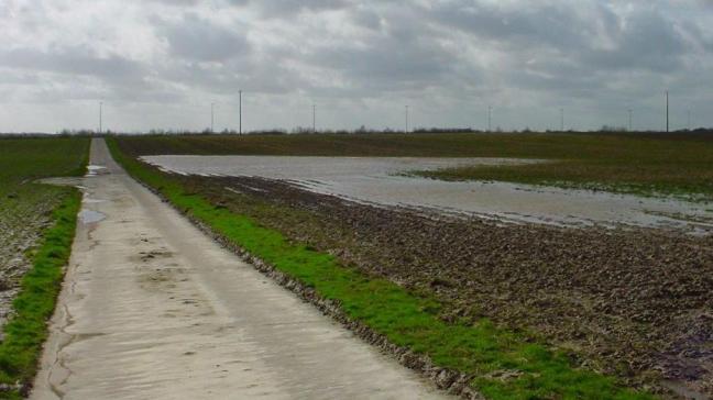 Au fur et à mesure que l’eau parvenait à s’infiltrer, elle emportait avec elle l’azote  présent dans le sol. Ce qui se traduit dans les observations.