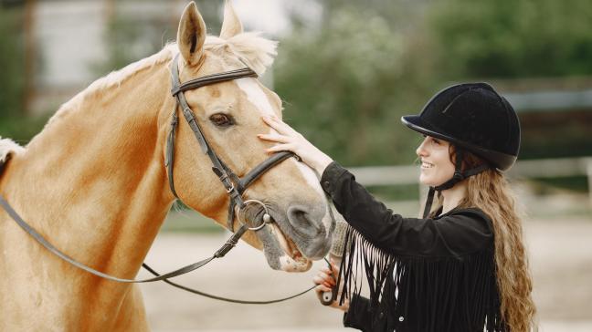 Ce salon est destiné aux professionnels, amateurs et passionnés d’équitation, qu’ils soient petits ou grands.