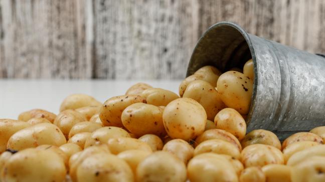 La Belgique est le principal producteur et exportateur de pommes de terres préparées congelées en Europe et dans le monde.