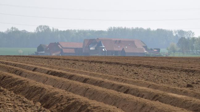 Il s’agit d’intentions de plantation qui seront sans doute affectées par les conditions difficiles actuelles.