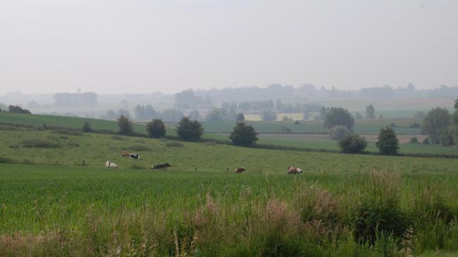 DSC_1069