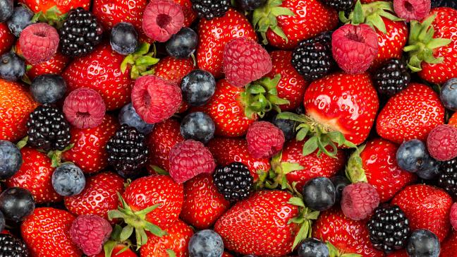 AdobeStock_283355972