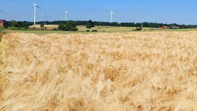 Les motifs de congé visés à l’article 7  de la loi sur le bail à ferme sont  au nombre de 10.