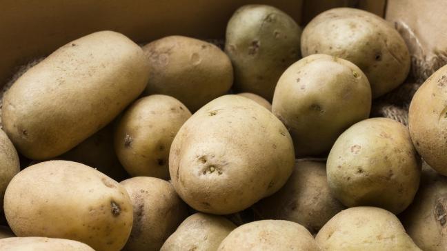 En plantant avec six semaines de retard, «les plants perdent une partie de leur qualité».