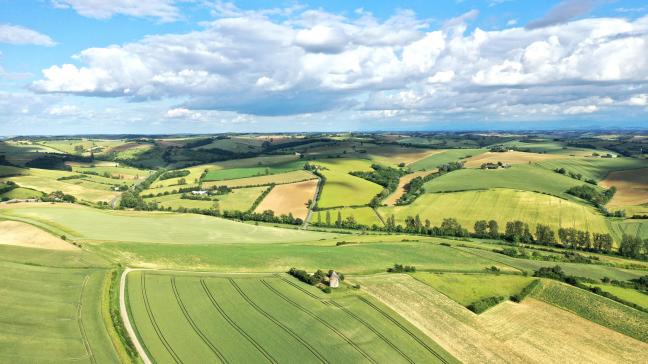 La France compte près de 26,7 millions d’hectares de terres et de prairies  dont moins de 2 % font l’objet  de transactions agricoles.