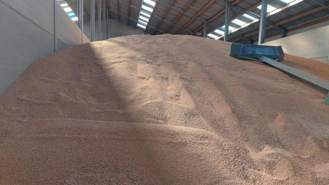 Les conditions de stockage sont essentielles pour une bonne conservation du grain, alerte Fegra.