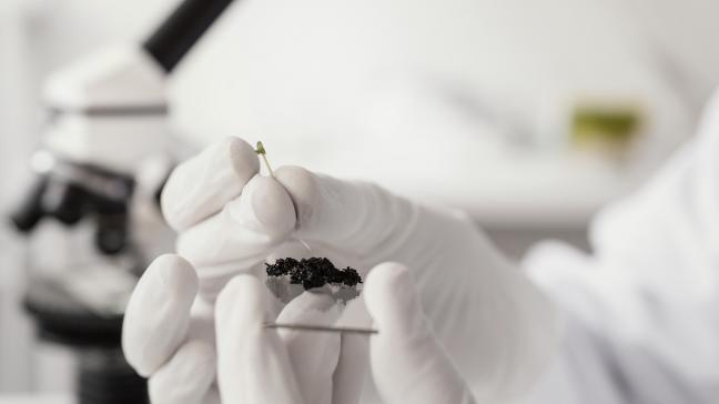 La Belgique suggérait d’interdire la brevetabilité des plantes NBT y compris de catégorie 1 (c’est-à-dire celles qui peuvent être considérées comme équivalentes à des semences conventionnelles). Cela n’aura pas suffi.