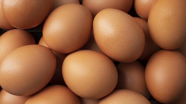 common-food-that-can-cause-allergic-reaction-people