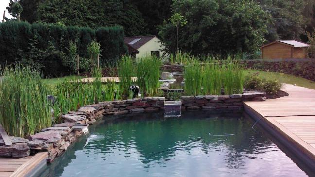 Dans un étang de baignade, l’eau de la zone de baignade est filtrée par les plantes occupant la zone de lagunage.