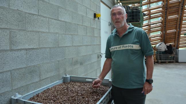 À la tête du Comptoir forestier depuis bientôt 30ans, Alain Servais, accompagné de ses équipes, a écoulé pas moins de 80t de semences dédiées au repeuplement des forêts wallonnes.
