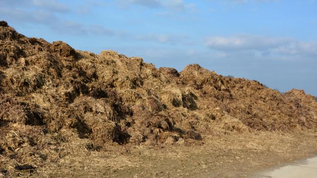 Il est déconseillé de surfertiliser  les parcelles, notamment pour éviter  un APL trop élevé en automne.