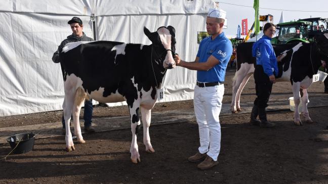 La célèbre Ecole des jeunes Eleveurs, dont ce sera la 22ème édition, est le fleuron de la Foire de Battice.