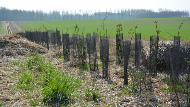 Le projet s’adresse aux agriculteurs, mais aussi aux particuliers, entreprises, écoles...