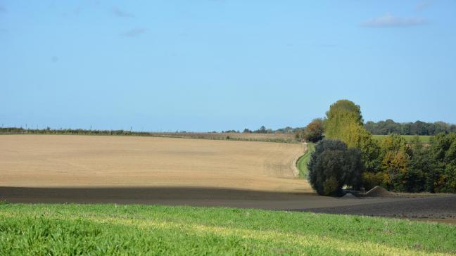 On rappellera que le bénéficiaire  du congé, qu’il soit le bailleur ou  un parent éligible, doit répondre  à de stricts critères prévus  par la loi.