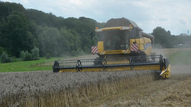 L’observation d’une variété sur plusieurs années permet de déterminer la stabilité de celle-ci et son adaptation au contexte pédoclimatique de la région.