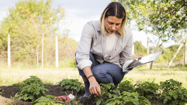 Le marché est très inégalement développé d’un Etat à l’autre.