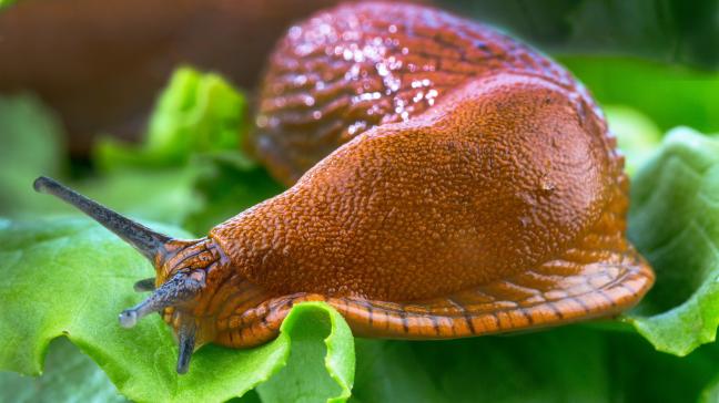 AdobeStock_54721053