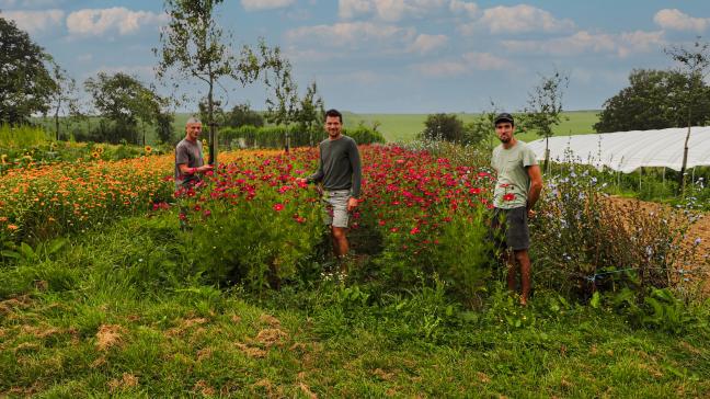 La biodiversité cultivée, c’est le domaine d’action et de prédilection de Thomas Bleeckx, Benoît Delpeuch et leur petite équipe qui se cache derrière Anthesis, projet pionnier dans la production de semences bio.