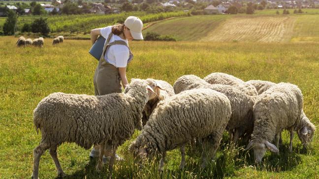 En 15 ans de temps, l’Europe a perdu près de deux millions de petites fermes.